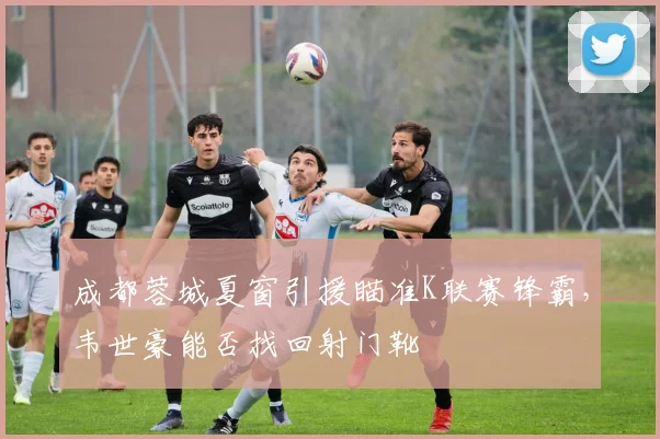 成都蓉城夏窗引援瞄准K联赛锋霸,韦世豪能否找回射门靴
