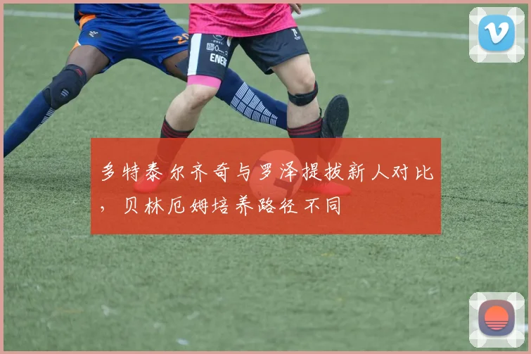 多特泰尔齐奇与罗泽提拔新人对比，贝林厄姆培养路径不同